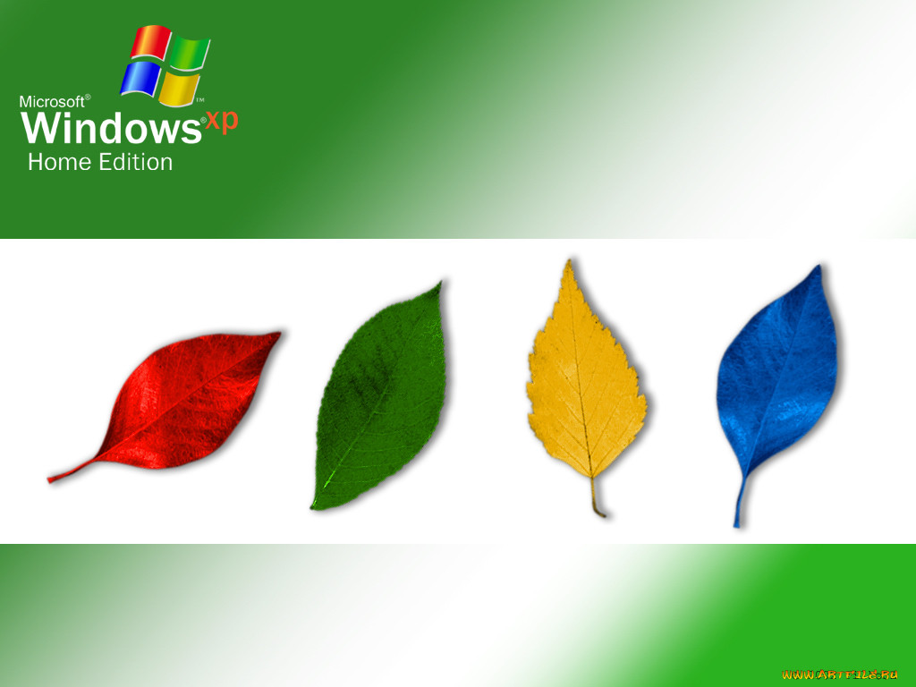 , windows, xp